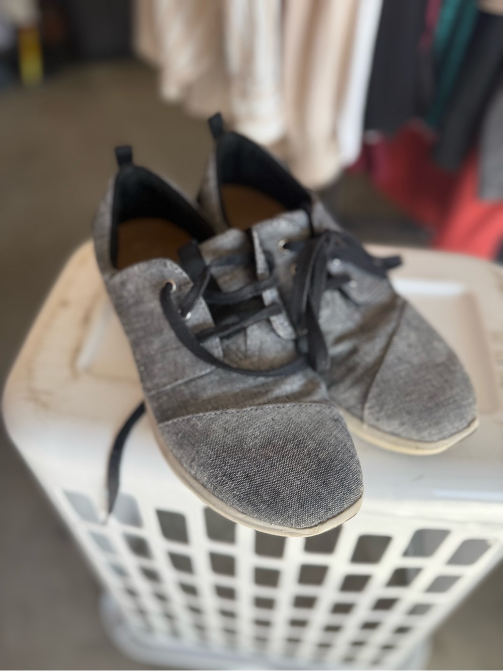 Toms Gray Canvas Lace-Up Sneakers